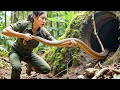 Full Video 7 Days Alone Fighting To Survive In The Deep Rainforest Ultimate Solo Bushcraft Life