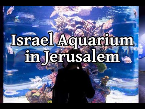 סרטון ביקור באקווריום ישראל בירושלים