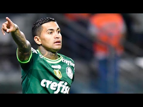 PALMEIRAS 2 X 0 INTER DE LIMEIRA | MELHORES MOMENTOS | 09 DE FEVEREIRO DE 2023