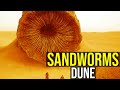 SANDWORMS The God Of DUNE EXPLAINED
