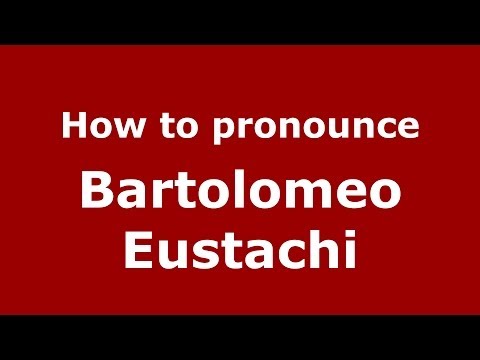 How to pronounce Bartolomeo Eustachi (Italian/Italy) - PronounceNames.com