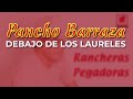 Pancho Barraza - Debajo de los Laureles (Audio Oficial)
