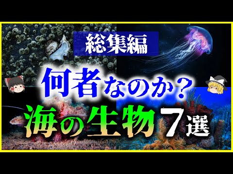 15 ユーノミア シンボル.svg