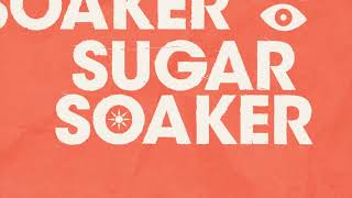 Panic! At The Disco - Sugar Soaker (Official Audio)