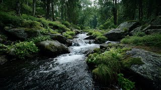 🌷 Soul-Calming Music 🌿 Stress Relief & Deep Relaxation