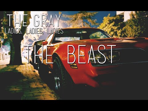 The Beast - The Gray