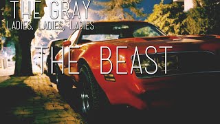 The Beast - The Gray