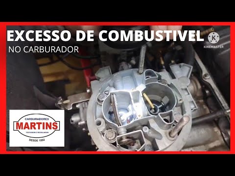 Excess fuel in the carburetor/Symptoms/How to test it/Car won't start - Martins carburetor