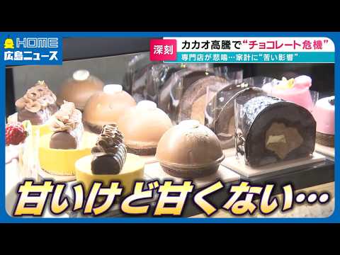 【価格が3.5倍】カカオが史上最高値更新でチョコレート専門店が悲鳴「値上げしないといけないけど、難しいんです」