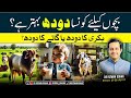 Goat Milk Vs Cow Milk Which One Helps Kids Grow Stronger
