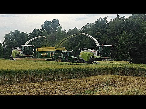 GRUPPO PEA (2017): 2 CLAAS JAGUAR 970 - BIG BARLEY SILAGE