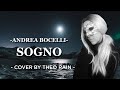 Sogno Andrea Bocelli Cover By Theo Rain