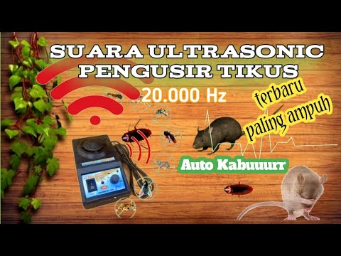 Suara Pengusir tikus paling ampuh 2023 | ultrasonic pengusir tikus, nyamuk, kecoa 20.000 Hz