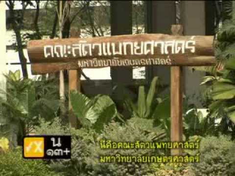 ธ อร์ขุดเจาะค้อนพระเครื่อง ค้อนของ ธ อร์การสั่งซื้อแคนาดา