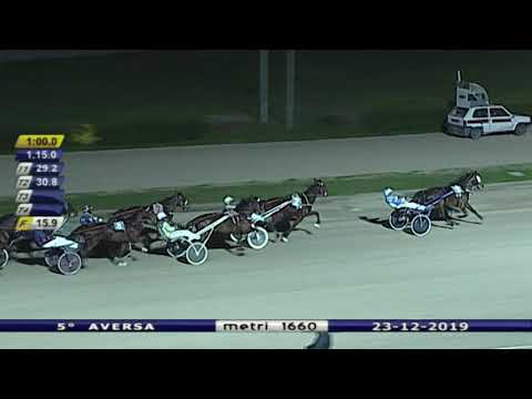 Aversa trotto 23 Dicembre 2019 - 5° Corsa