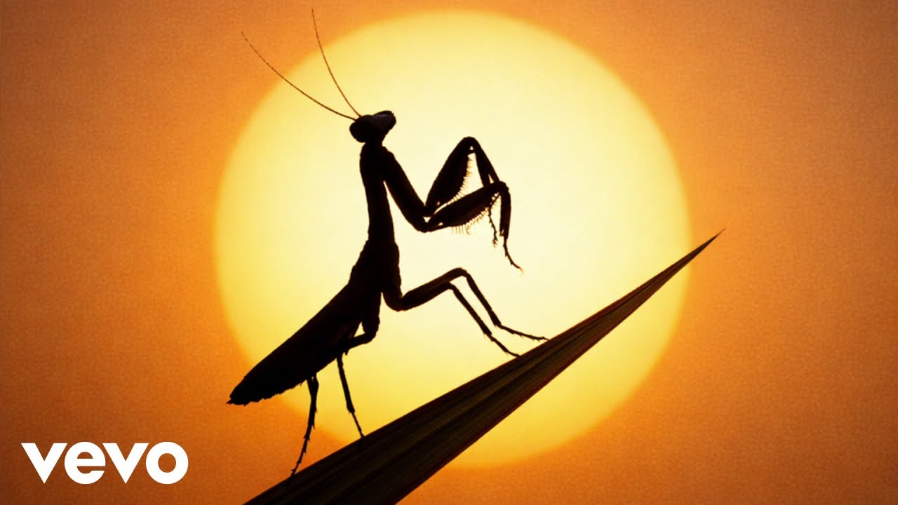 Greeicy, Cultura Profética - Mantis (Audio)