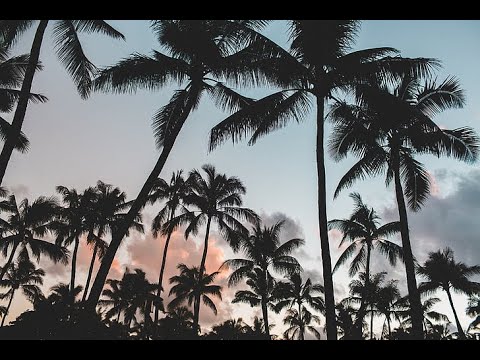 Minha Terra video