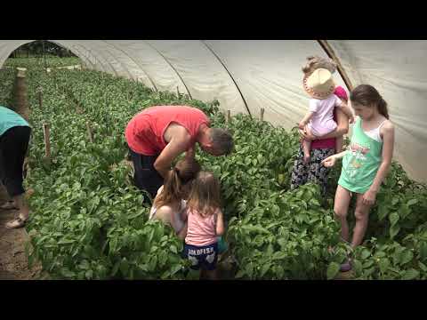 Naša priča 28.06.2019. NAJAVA