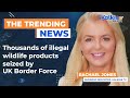 Thousands of illegal wildlife products seized by UK Border Force