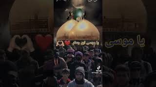 ياموسى ابن جعفر ياباب الحوائج ستوريات لطميات shorts trending