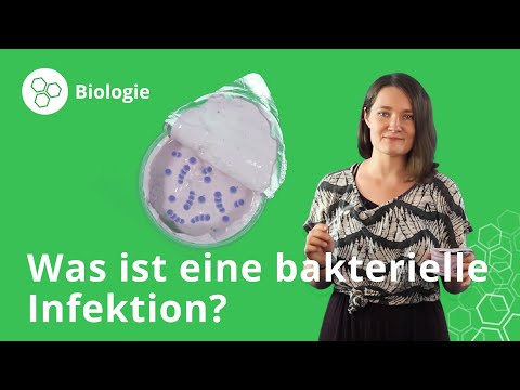 Bakterielle Infektion: Übersicht, Schutz und Behandlung – Biologie | Duden Learnattack