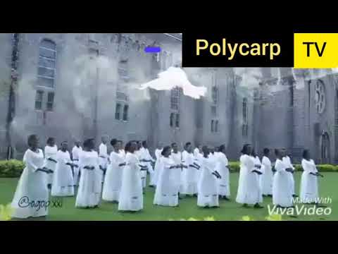 Naiboi x Kristoff -Bungee (polycarp edits)