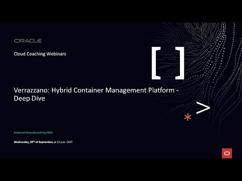Hybrid Container Management Platform - Deep Dive