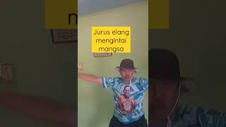 Download lagu Jurus silat tangan kosong jawara pakidulan!#silatshorts#unik mp3