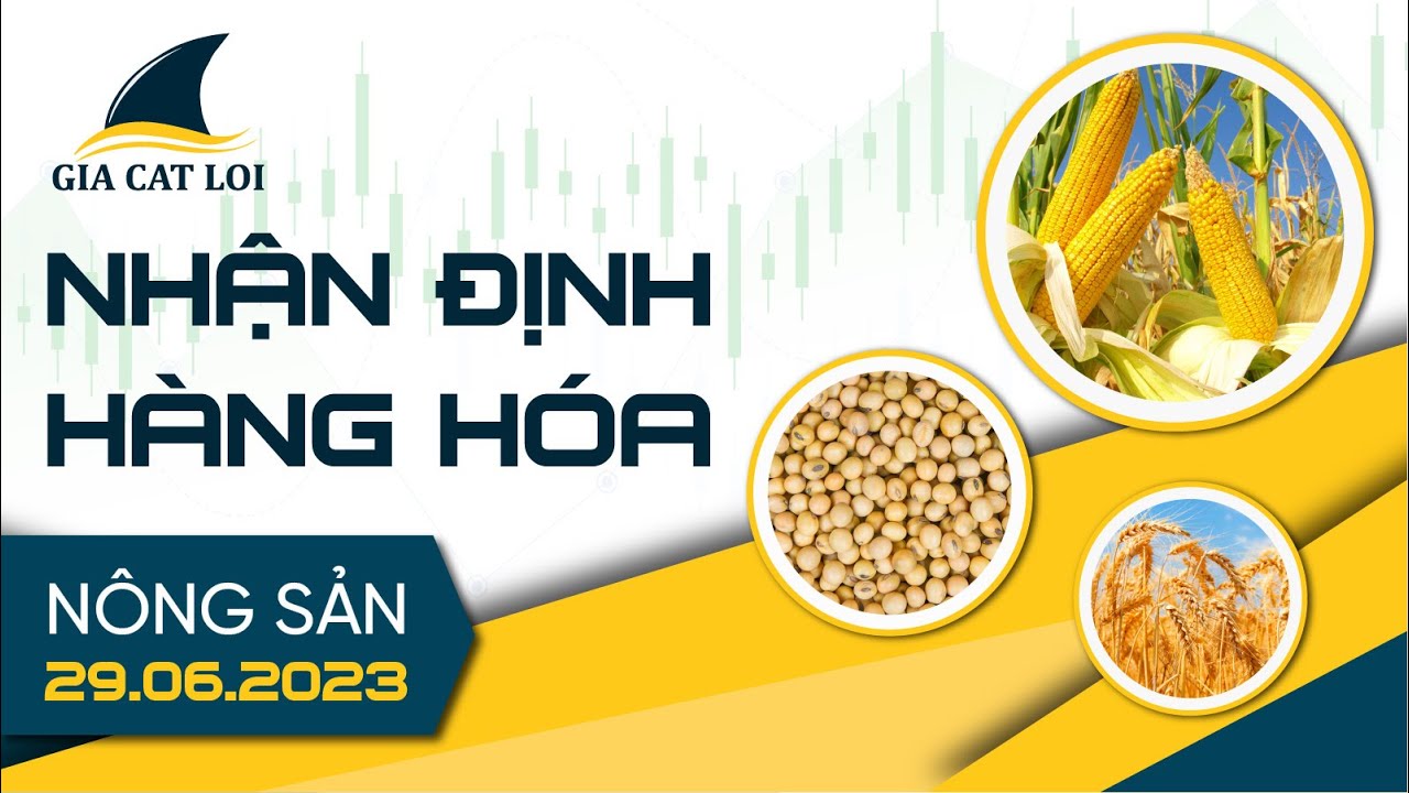 Nhận Định Thị Trường Nông Sản Ngày 29/06/2023