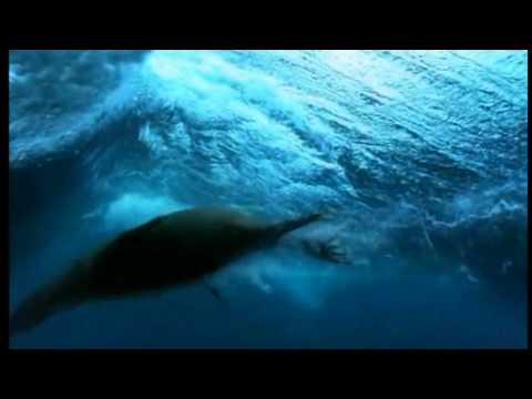 Levy 9 - Running Up That Hill