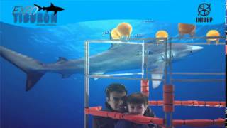 DIA 2 Expo Tiburon18