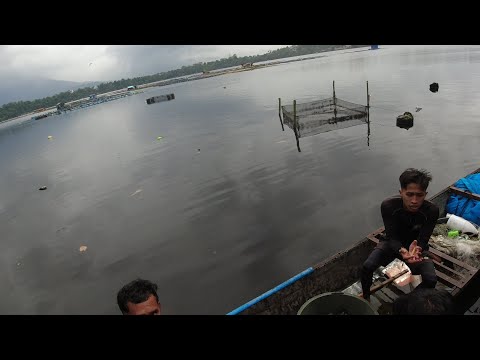 SE03EP003 - PAGTATARIBO o PAMIMIKOT - Catch & Cook | San Pablo City, Laguna