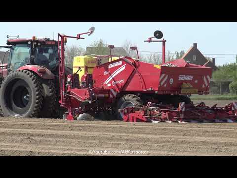 Aardappels poten XL 2019