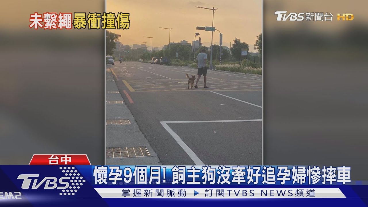 懷孕9個月！　飼主狗沒牽好追孕婦慘摔車
