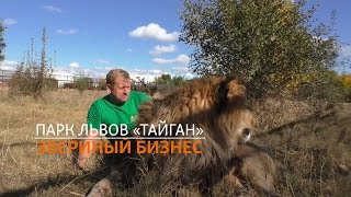 Парк львов «Тайган». Звериный бизнес