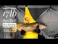 Video Thumbnail for **Two Ridiculous Bananas** Catching Monster Burbot