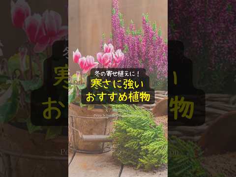 冬に植物を雪から守るにはどうすればよいですか？寒さや霜によるダメージを防ぐ4つのヒント  庭園