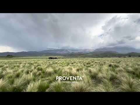 Lote La Carrera, Tupungato, Mendoza