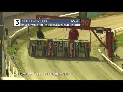 2019 KENT ST LEGER - HEAT 5 - T3 BEECHGROVE BELLE