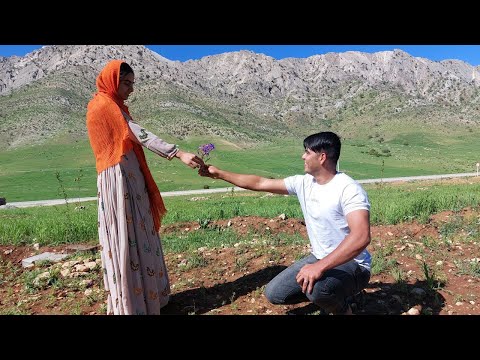 Nomadic Life: Razia’s Return from the Doctor and Home Repairs for Her Dog and Puppies