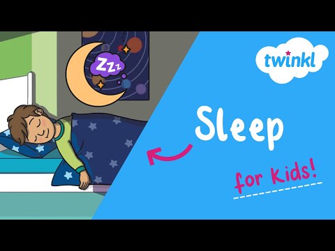 😴 All About Sleep for Kids | Why Is Sleep Important? | Twinkl USA