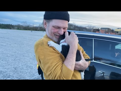 La surprise du chiot est le moment que nous devons tous voir ❤️❤️
