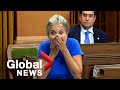 "Enough with the woke sh*t!": Conservative MP swears during liberal affordability legislation rant