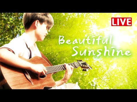 [HD][LIVE] Youngso Kim - Beautiful Sunshine / Fingerstyle Guitar / Lowden F50