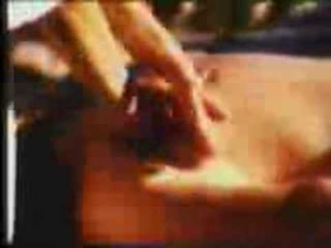 gallery video image