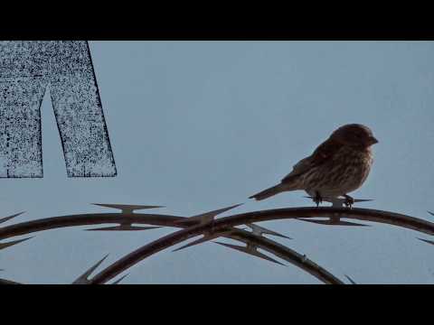 Kaos - Firewire feat. Colle der Fomento