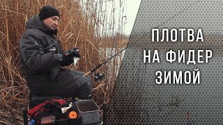 Ловля плотвы в феврале на фидер
