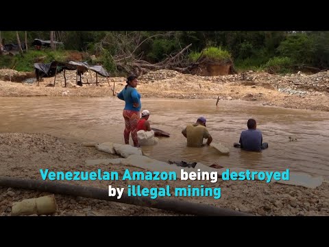 Venezuelan Amazon being destroyed by illegal mining