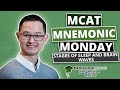 MCAT Mnemonic: Stages of Sleep and Brain Waves (Ep. 18)