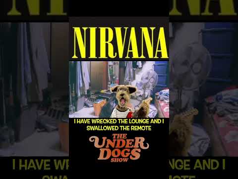Nirvana Tribute #nirvana #kurtcobain #heartshapedbox #dogs #parody